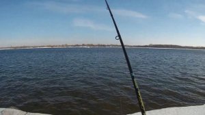 Разведка на Оби. Зимний фидер. Рыбалка на фидер! Feeder fishing in Siberia.