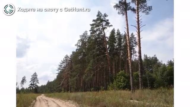 Охота в Рязанской области – Сасовская РОО ОиР 
