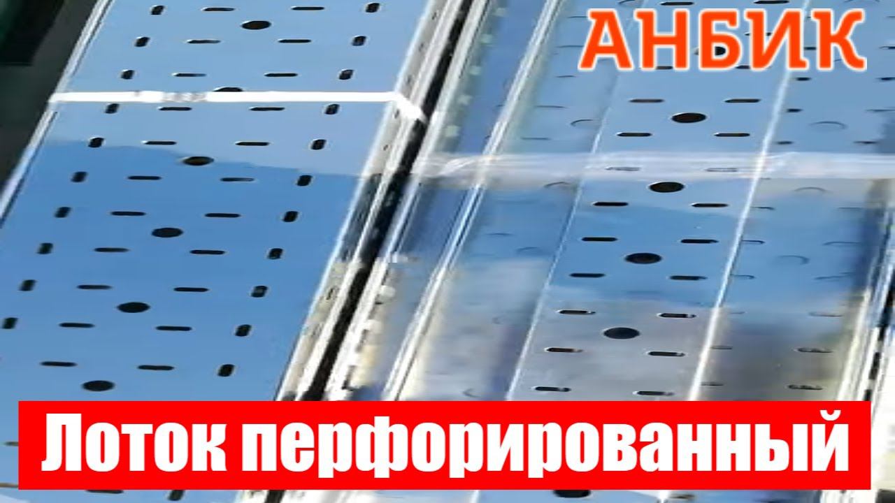 Лоток перфорированный - ANBIK.RU