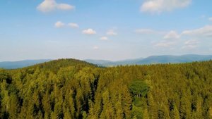 Good Morning Meditation Music 528Hz? Wake Up Fresh & Happy - Therapy Music