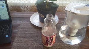 СИЯНИЕ-1 применение  и смысл препарата //Секреты Хороших Урожаев