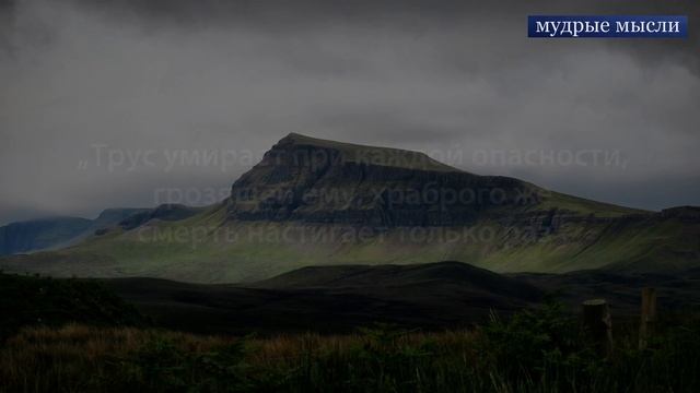 Шекспир. Ад пуст. Все бесы здесь. Цитаты великих людей