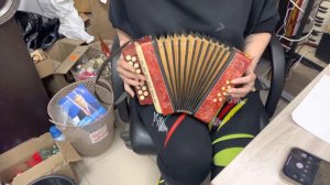 Гармошка Теза Калинка