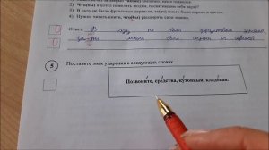 Проверяем ВПР по русскому языку за 7 класс 1 вариант. 2023г.