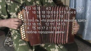 Городские цветы с нотами в цифрах