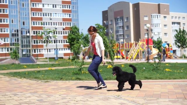 Эмерей Британника май 2018 смотреть онлайн