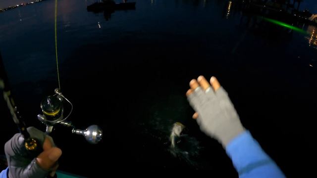 (S6 Ep3) Offatts Bayou Galveston TX **Green Dock Light** Action for KEEPER Fish смотреть онлайн