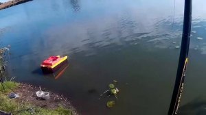 Рыбалка. Ловля карпа у зарослей камыша с корабликом. Carp Fishing