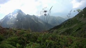 САМОНАПОЛНЯЮЩАЯСЯ БУТЫЛКА! Как найти воду в пустыне_ Получение воды из воздуха!