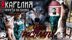 ОТСТРЕЛИЛИ 2-УХ ВОЛКОВ! ОКО ЗА ОКО, НО СОБАКУ УЖЕ НЕ ВЕРНУТЬ