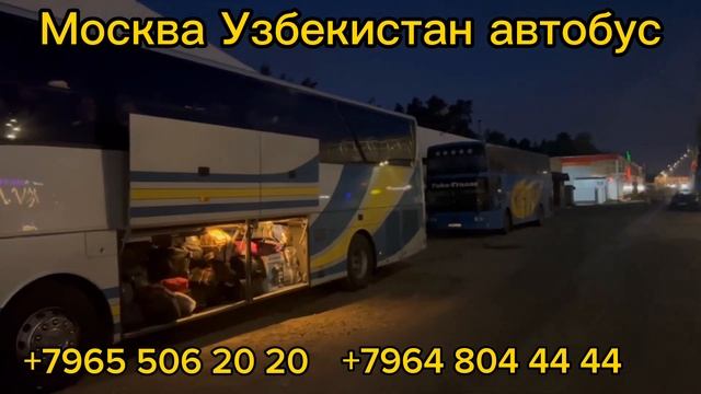 россия-узбекистан автобус москва-узбекистан автобус москва-ташкент автобус#automobile