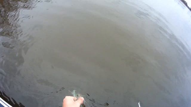 Сети на клязьме