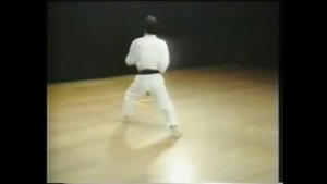 Hirokazu Kanazawa - Empi(Эмпи). Fast and slow