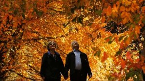 Татьяна Снежина Листопад  жизнь  всё  расставит по  местам