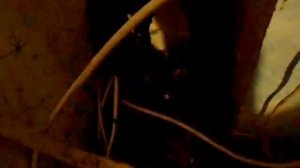 Аварийный циркуляционный насос на 12 вольт !