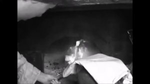 Волынкин Николай Васильевич   Ты не ругай меня