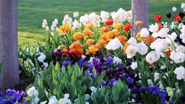 Баллада о девушке смотреть онлайн