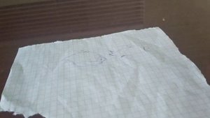 как определить самку от самца у данио?И разведение.