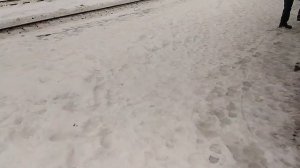 Кровавая трагедия на рельсах