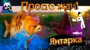 RF4 ОНИ РЕАЛЬНО ТУТ КЛЮЮТ И ДАЖЕ С РАЗМОТОМ #рр4
