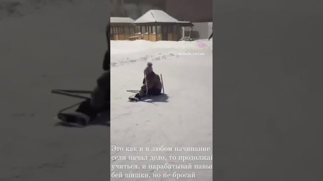 #чувство #стремление #навык #обучение #новое #любовь #развитие #шанс #преодоление #преодолениесебя