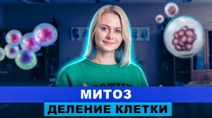 Деление клетки: Митоз | ИНТЕНСИВ | Ксения Напольская