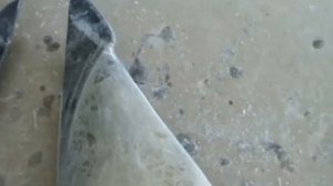 ПОДИУМЫ ДЛЯ ТВИТЕРОВ В УГОЛКИ ЗЕРКАЛ МАЗДА