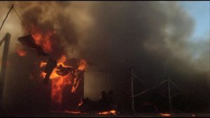 ГСН - А я повыше закатаю рукава Dolph Lundgren by malakh