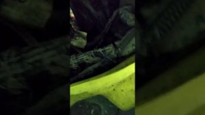 пежо боксер не заводиться#не крутит стартер пежо боксер