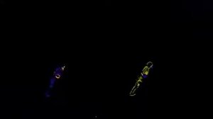 танцуй в моем неоне