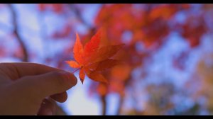 "Осень" атмосферная песня