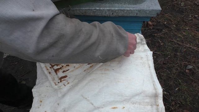 И опять ПРОБЛЕМНАЯ.Подкормка.Пчеловодство 2021 (12.02.2021) смотреть онлайн