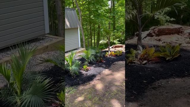 In-ground annual tropical and palm garden - Part 2 смотреть онлайн