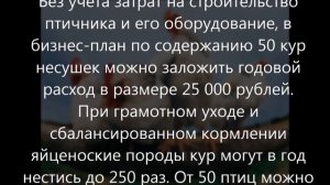 Бизнес план по разведению кур несушек