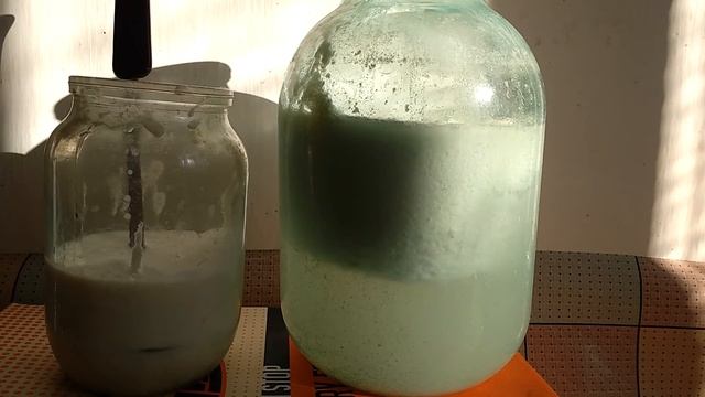 1334, простокваша, кислое,скисшее молоко, как приготовить, качество, польза, вместо сметаны, ЗОЖ, П смотреть онлайн