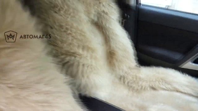 Меховые накидки на сидения из овчины бежевый 140х55см