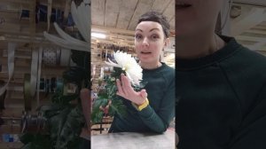 Особенность одноголовой хризантемы.