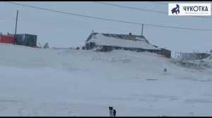 Белый медведь в Инчоуне забрался на склад с моржовым мясом