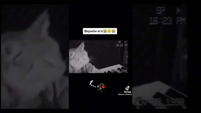 помните?????