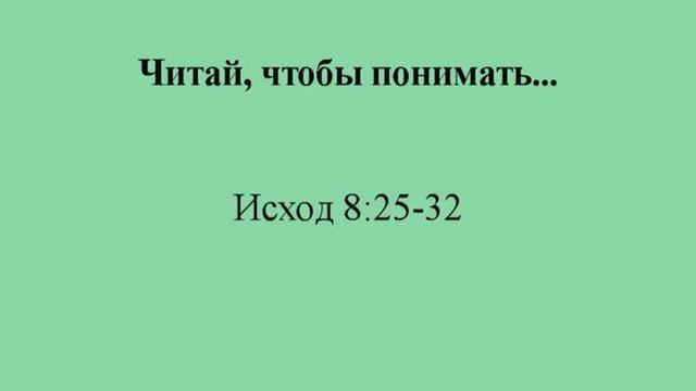 Исход. Глава 8, стихи 25-32 смотреть онлайн