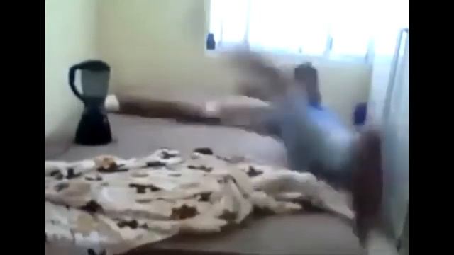 идиотка решила подшутить над спящими домочадцами смотреть онлайн