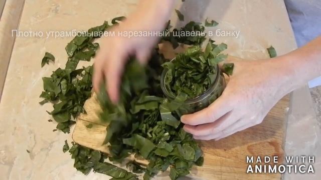 Щавель на зиму. Проще простого