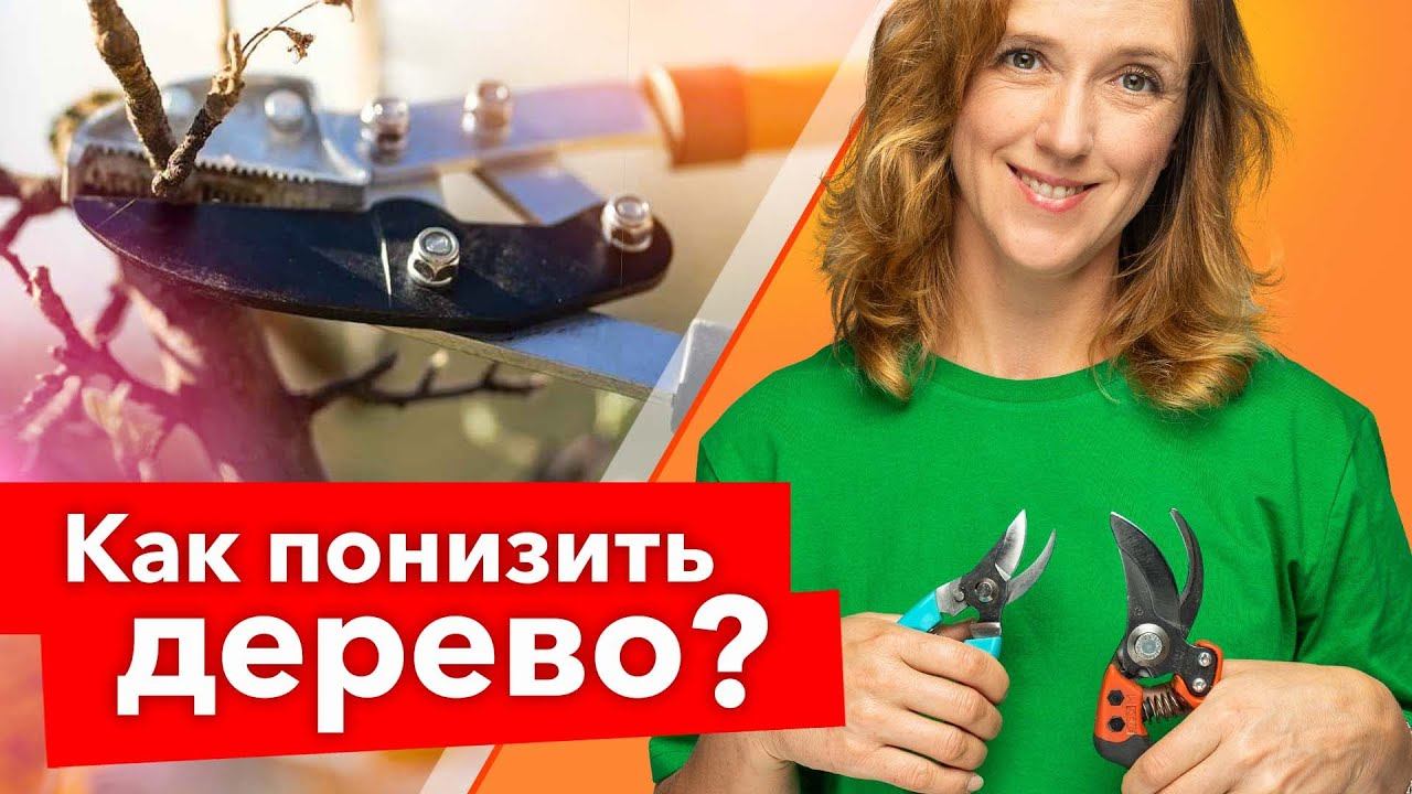 Десять Тысяч Стилей 2 Онлайн