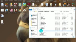 Где Взять Серийный Номер В Bandicam