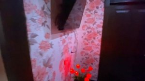 Гостевой дом Дего в горах Адыгеи