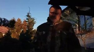 Прививка можжевельника на штамб.Что стало с прививками спустя три года.