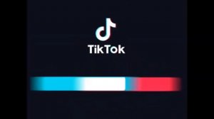 коты воители тик ток