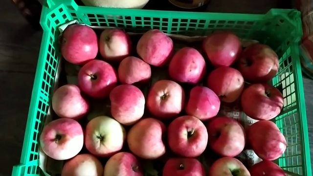 Влог/Варю варенье/опять огурцы/как все успеть... смотреть онлайн