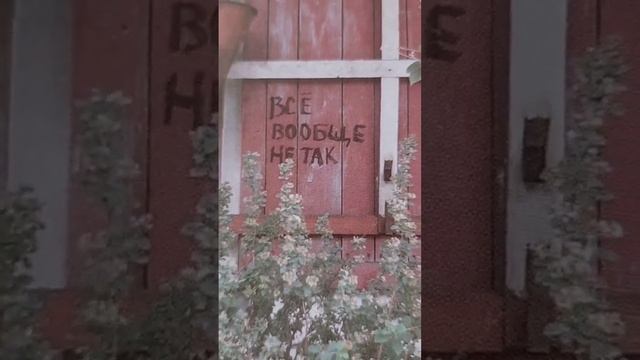 сегодня дЛя ЗнАКов ЗодИАка? смотреть онлайн