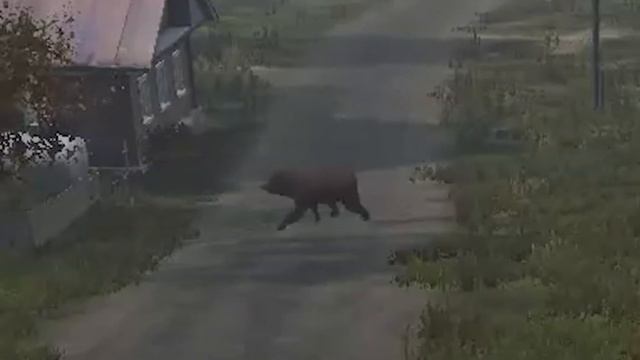 пам пом прлбмпм пом DayZ смотреть онлайн